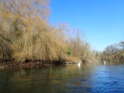 Groschenwasser, Februar 2026